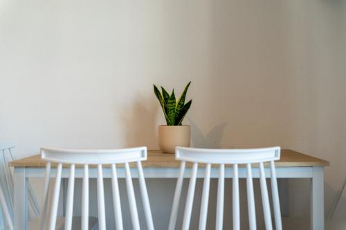 oasisluxury_apartment_no03_00032
